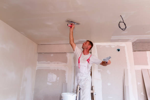 Best Wallpaper Removal and Painting  in Reeds Spring, MO